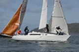 white lightning gbr4327 marks whyw24 thurs whyw24 thur 800 5877